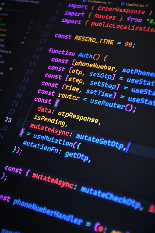 Professional web development services